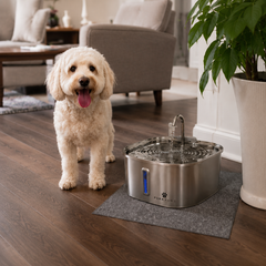 PuraPaws FreshFlow Plus™ 7L Stainless Steel Cat Water Fountain